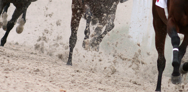 Horse Race Kicking Up Sand