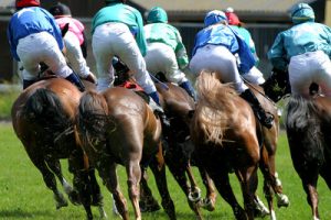 Horse Race Behind Field