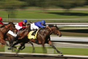 Abstract horse racing